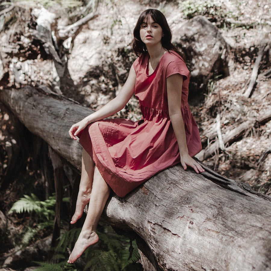 Paige Rosewood Cotton Poplin Dress